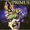 Primus - Anti Pop